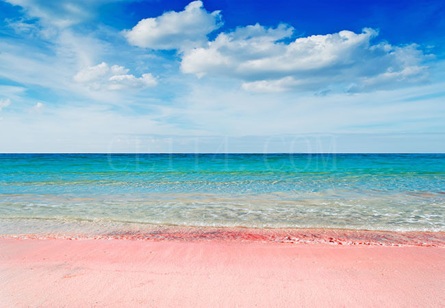 沙子的颜色是什么